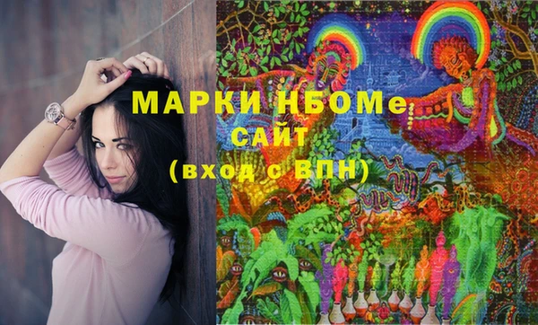 хмурый Краснослободск