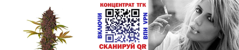 Купить  Тольятти  ТГК THC oil 